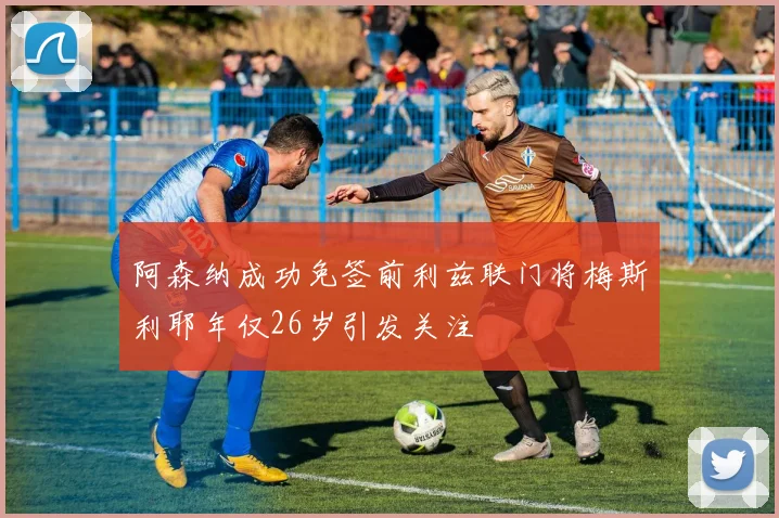 阿森纳成功免签前利兹联门将梅斯利耶年仅26岁引发关注